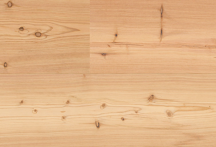 Pure larch lively 8419